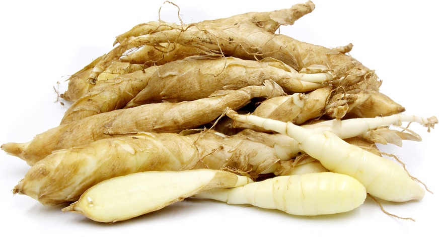 arrowroot-nature-s-produce