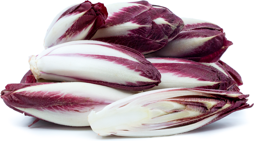 Red Endive Natures Produce