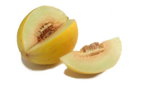 canary melons cantaloupe