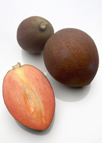 mamey sapote category fruit