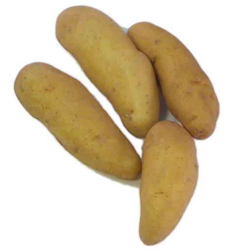 Fingerling Potatoes Nature S Produce