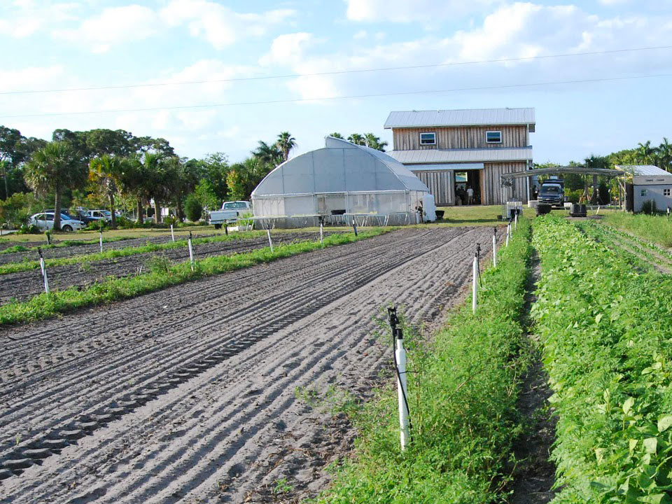 Costal Organic Farm