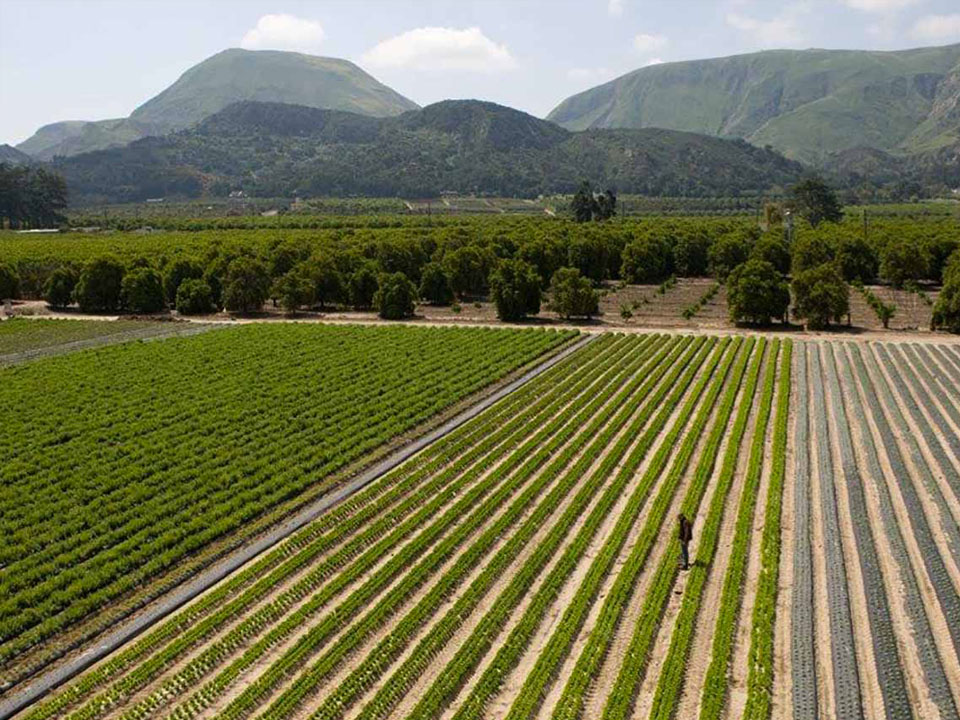 Kenter Canyon Farm