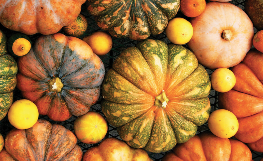 nature-s-produce-in-season-pumpkins