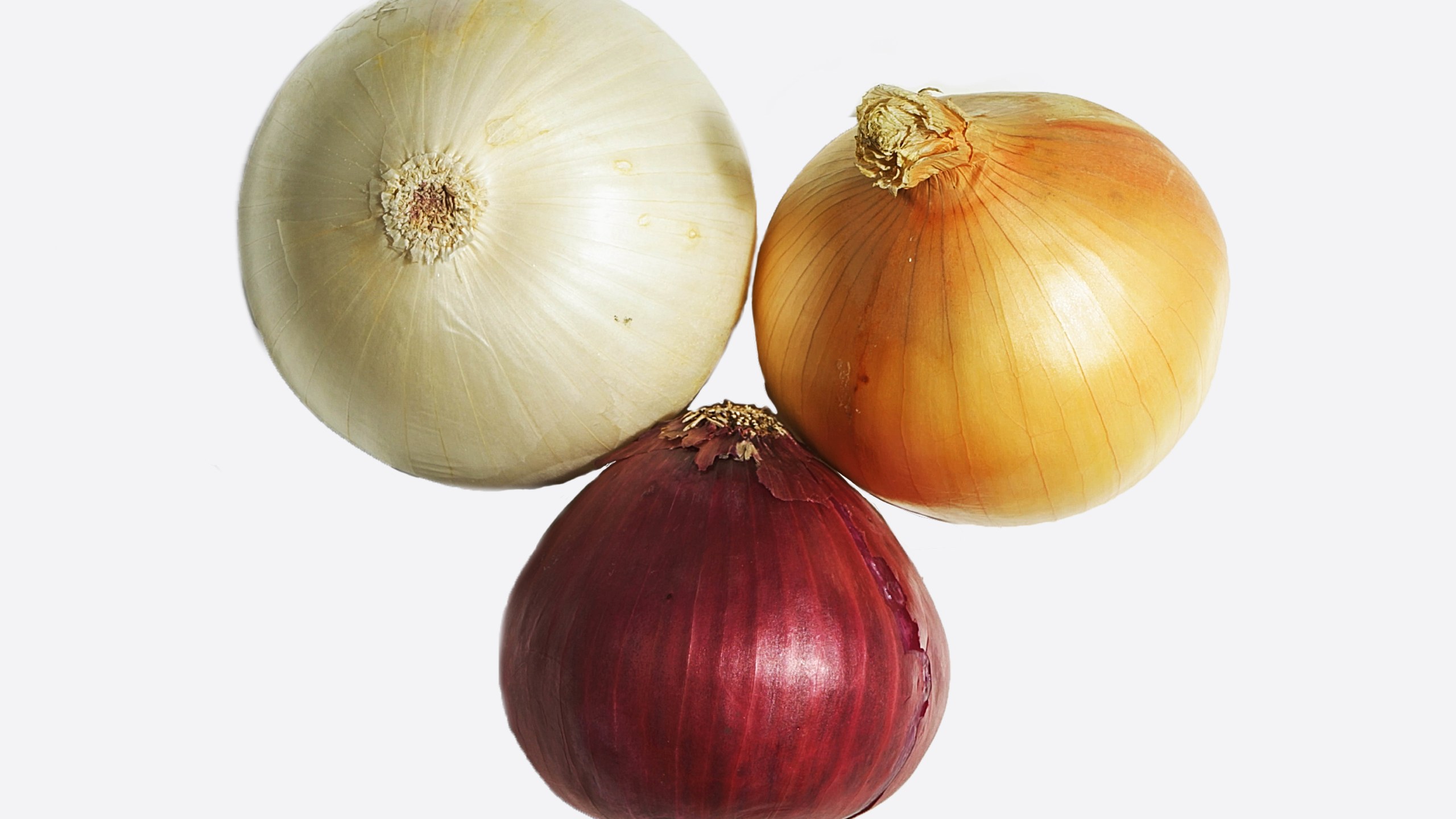 Featured image of post Steps to Make Vidalia Onion Vs Yellow Onion