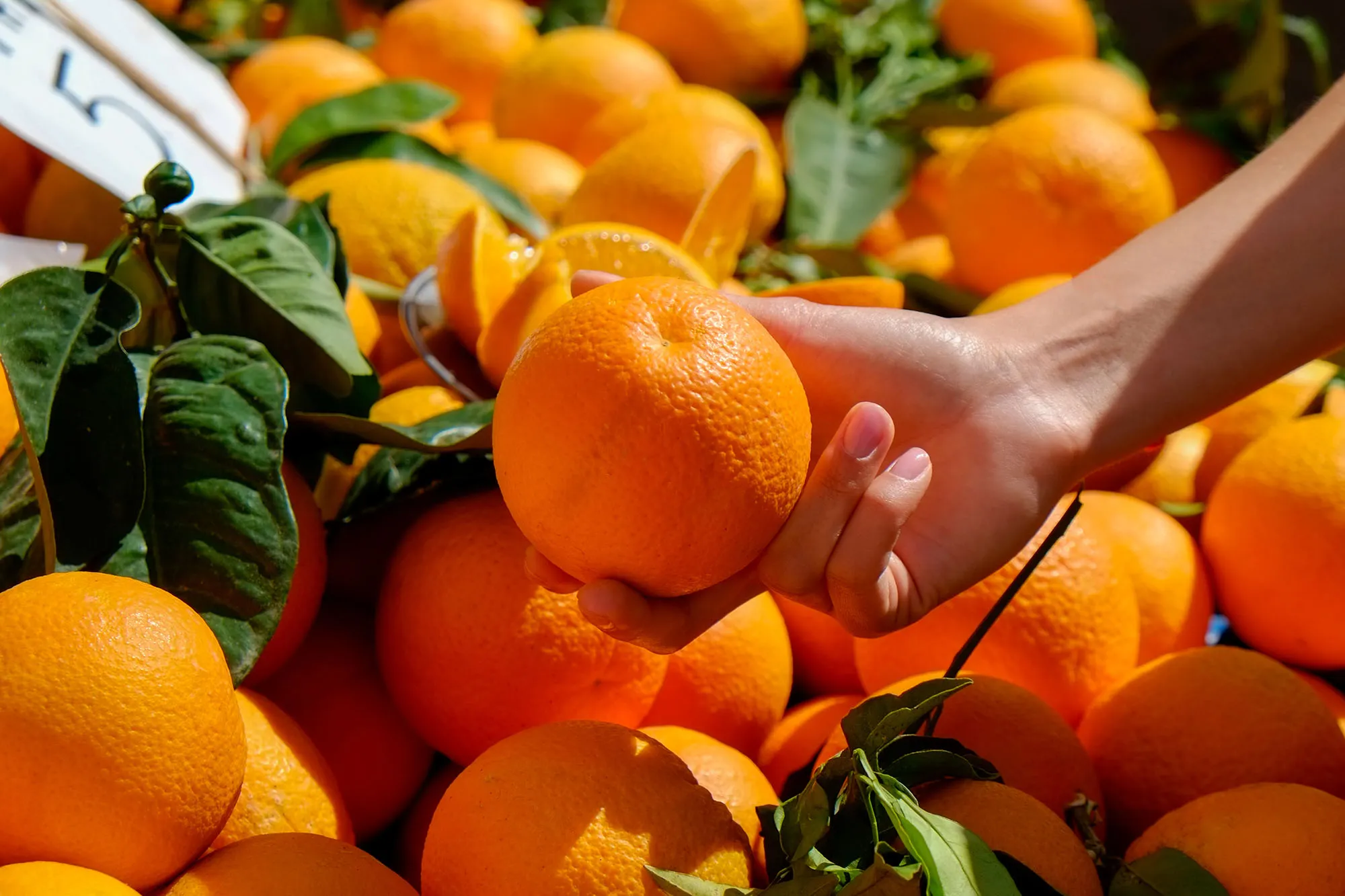 Citrus at Farmer's Market